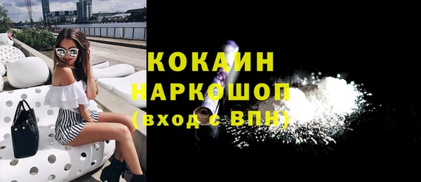 индика Баксан