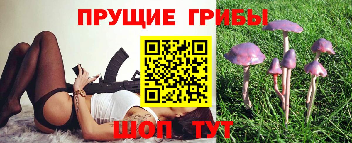 Псилоцибиновые грибы MAGIC MUSHROOMS Моздок
