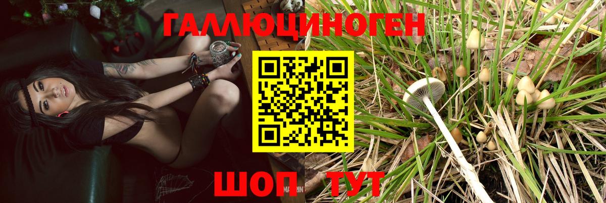Галлюциногенные грибы Psilocybine cubensis  Вход с VPN  хочу   Галлюциногенные грибы MAGIC MUSHROOMS  Моздок 