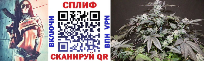 Конопля план  магазин    Моздок 