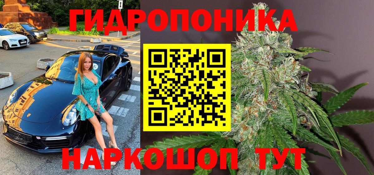 Марихуана семена Моздок